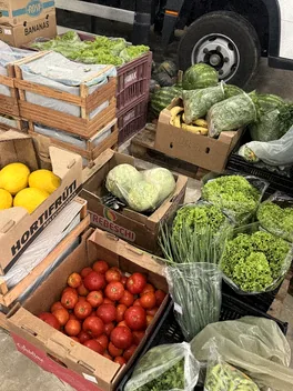 Caixas com tomate, alface, couve e melão
