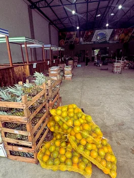 Barracas do Empório com abacaxis e sacos de laranja